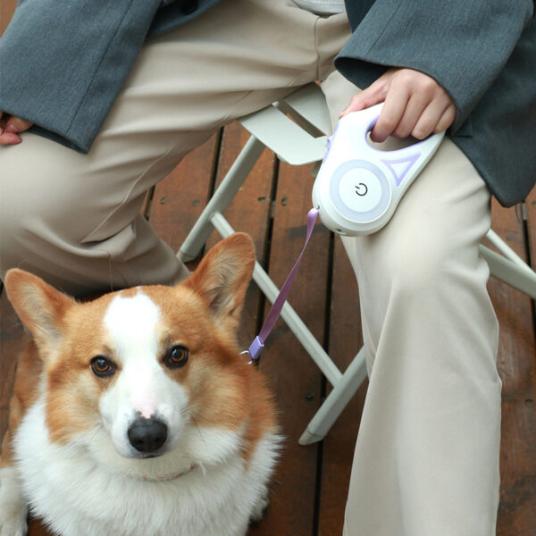 Retractable Dog Leash with LED Light & Collar – Automatic Pet Walking Rope for Small & Medium Dogs - Image 2